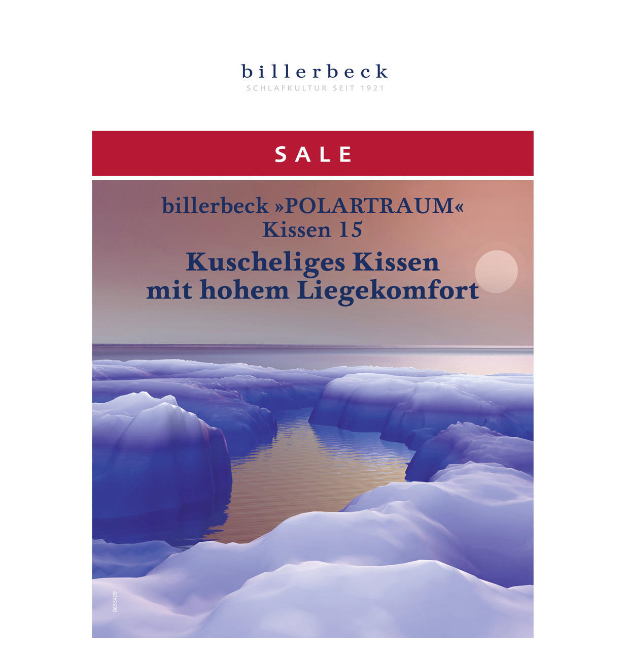 Thumbnail - Billerbeck Kopfkissen, Weiß, Textil, Füllung: Federn, Daunen, 80x80 cm, reines Naturprodukt, hervorragender Wärmespeiche...