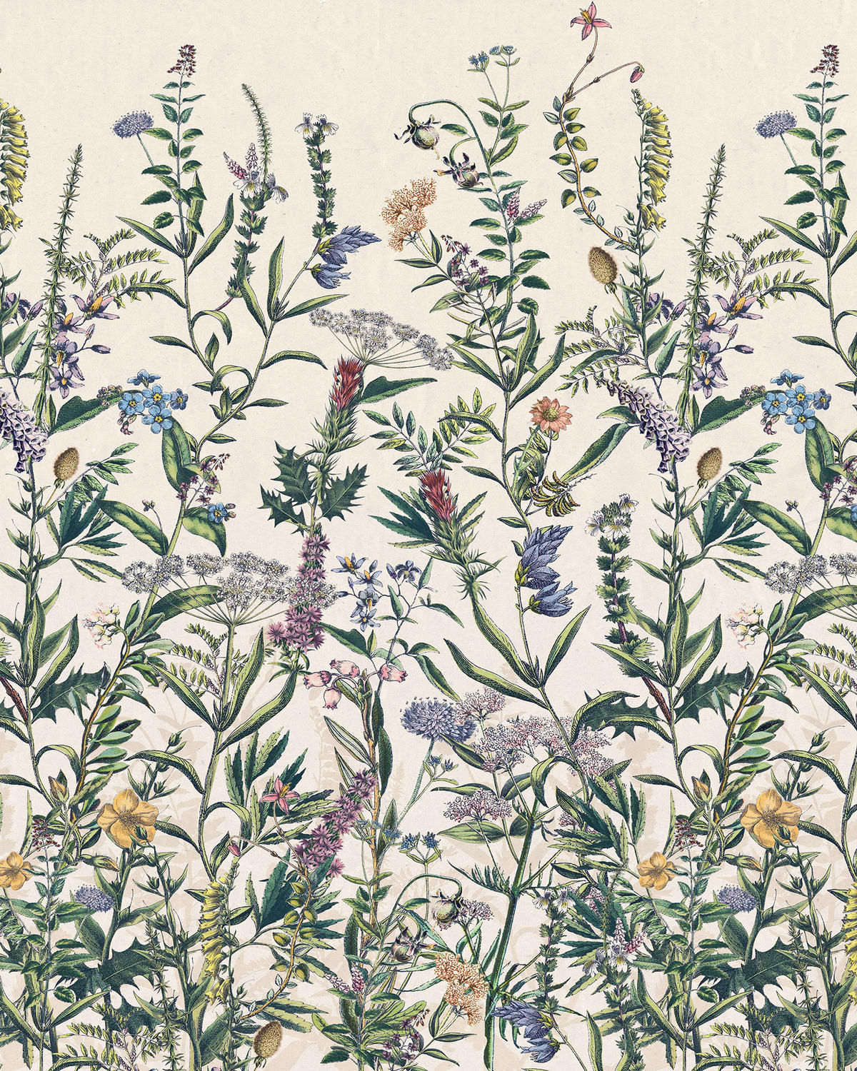 NON WOVEN-TAPET 200/250 cm  - multicolor, Basics (200/250cm) - Komar