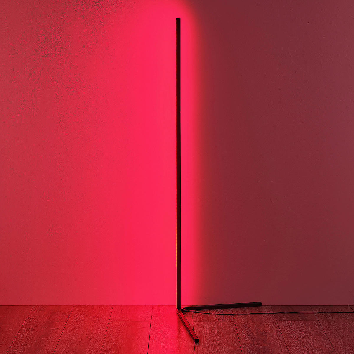 LED STOJACÍ LAMPA, 43/141 cm  - černá, Trend, kov (43/141cm)