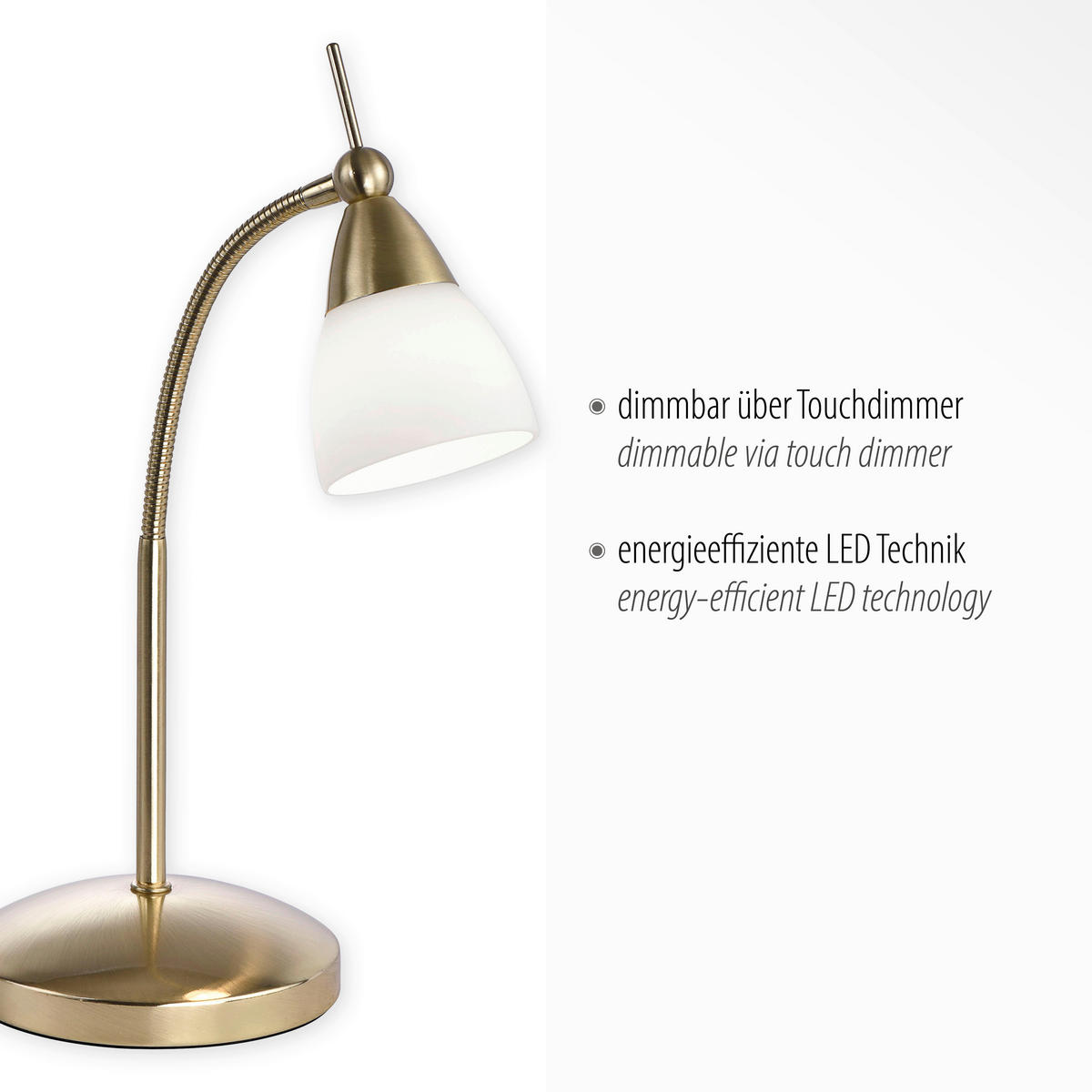 LED-TISCHLEUCHTE Pino 30/30/45 cm   - Messingfarben, Basics, Glas/Metall (30/30/45cm) - Paul Neuhaus