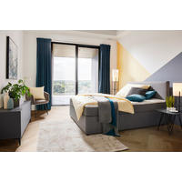 Pat Tip Boxspring, 120/200 cm, gri - negru/gri, Konventionell, plastic/lemn (120/200cm) - P & B