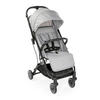 BUGGY TROLLEYME  - Grau, Basics, Metall (49,5/103/84cm) - Chicco