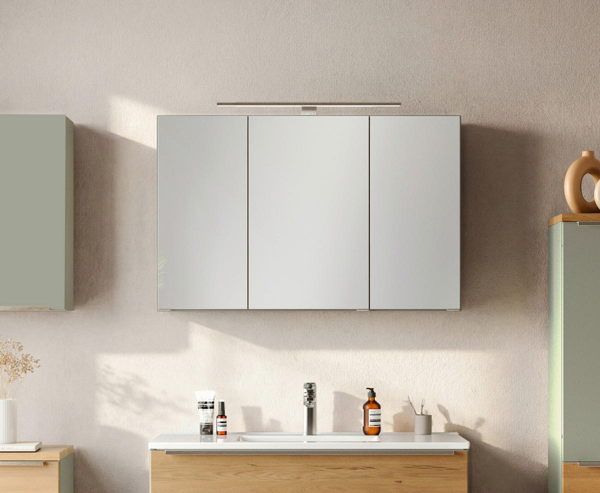 SPIEGELSCHRANK 100/64/20 cm  - Schilfgrün/Wildeiche, Trend, Glas/Holzwerkstoff (100/64/20cm) - Held