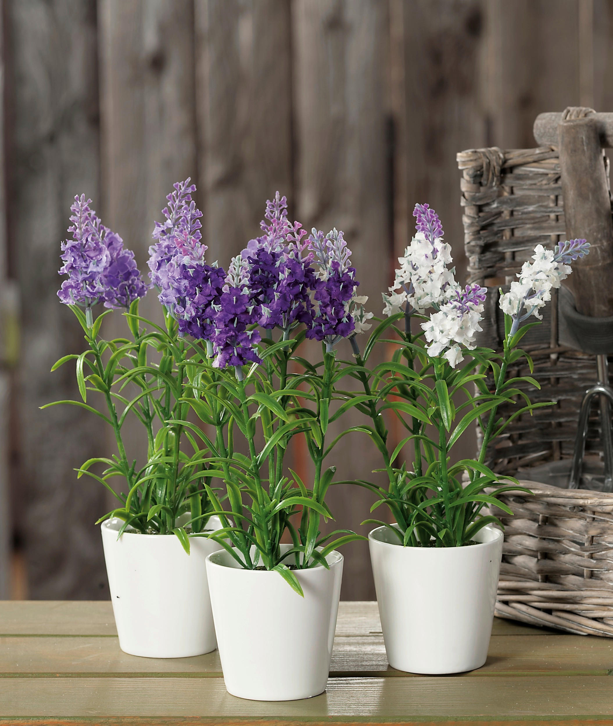 LAVANDA        8/25,5 cm      - lila/bela, Osnovno, plastika (8/25,5cm)
