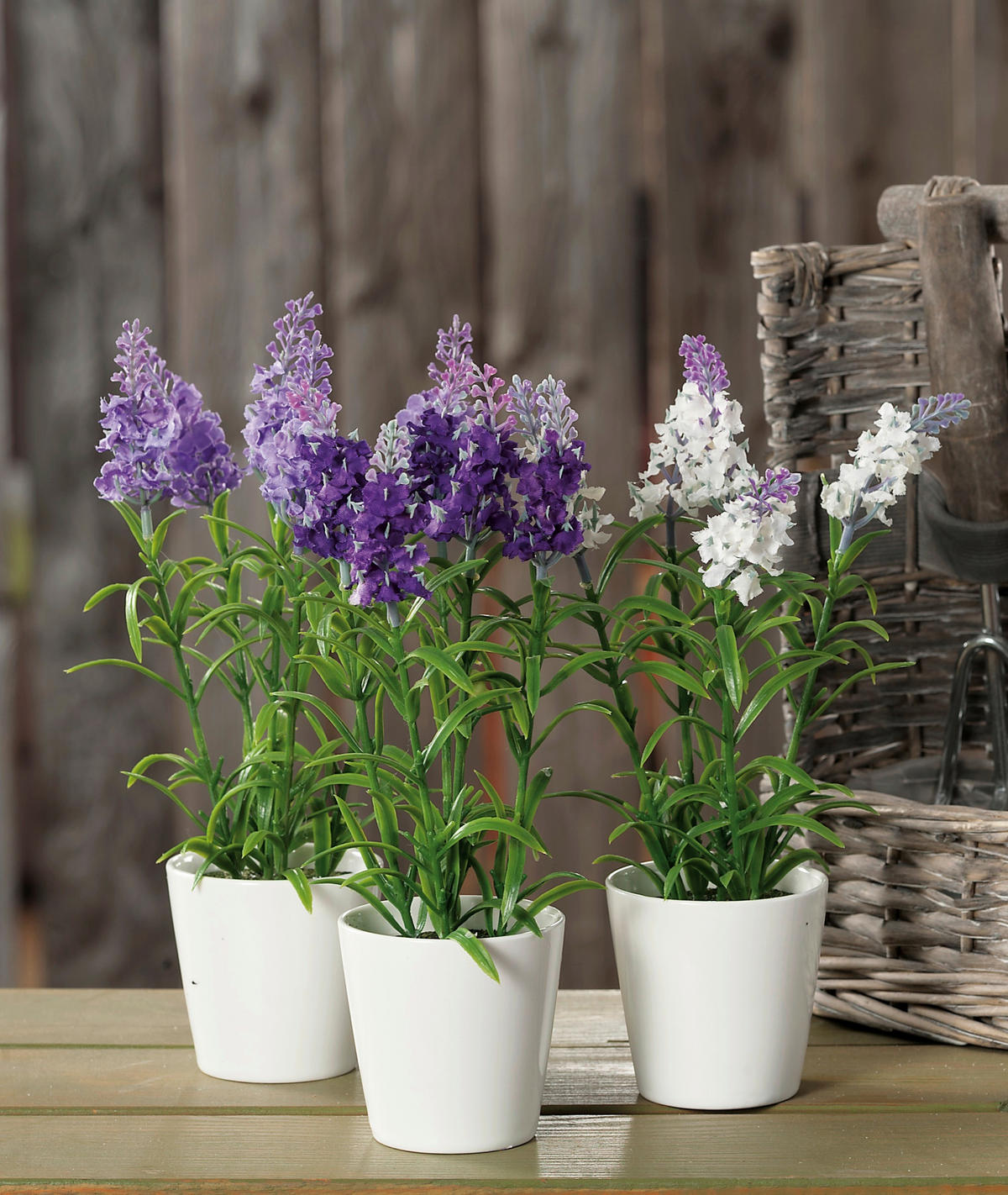 LAVANDA        8/25,5 cm      - lila/bela, Osnovno, plastika (8/25,5cm)