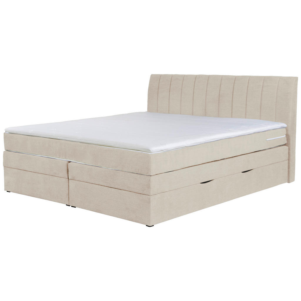 Boxspringbett Mit Topper & Bettkasten 160x200 Shark