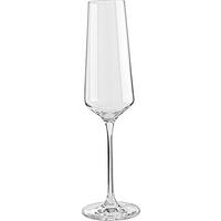 SEKTGLAS   - Transparent, Basics, Glas (280ml) - Leonardo