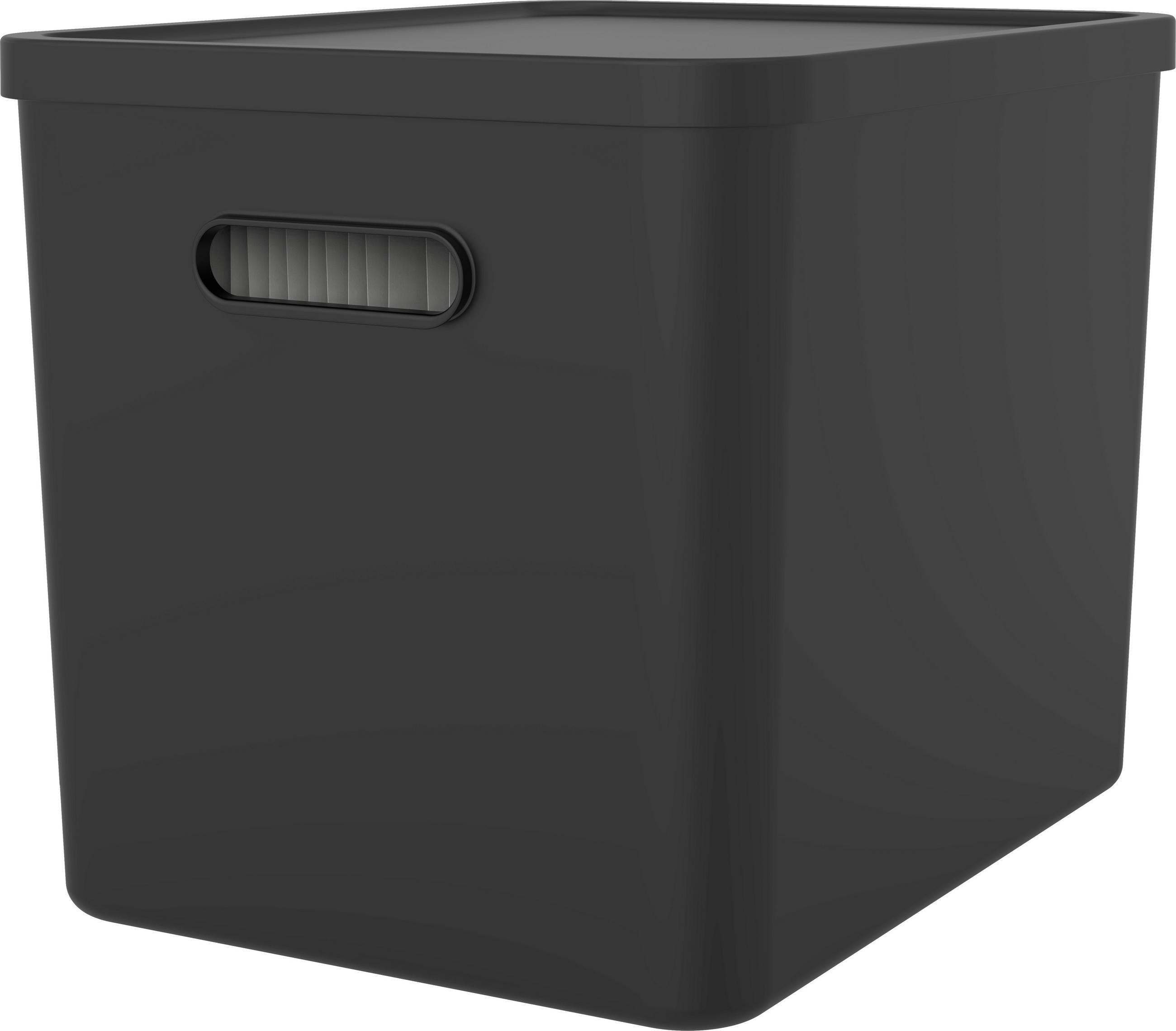 ORGANIZER  - Schwarz, KONVENTIONELL, Kunststoff (29/29,5/37cm) - Rotho