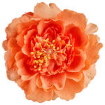 RAFFHALTER  - Orange, Basics, Textil (11cm) - Esposa