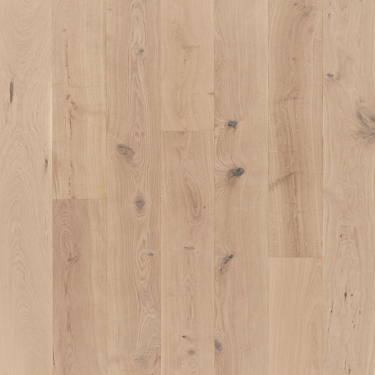 Landhausdiele Eiche weiß Basic 11-5 1595135 per m²