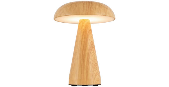 TISCHLEUCHTE - Naturfarben, Trend, Kunststoff/Metall (15,5/21cm) - Novel