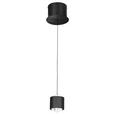LED-HÄNGELEUCHTE 14/170 cm  - Schwarz, Design, Kunststoff/Metall (14/170cm) - Novel