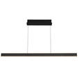 LED-HÄNGELEUCHTE Kent 118/10/170 cm   - Schwarz, Design, Kunststoff/Metall (118/10/170cm) - Dieter Knoll
