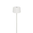 AKKU-STEHLEUCHTE 16/120 cm    - Weiß, Design, Kunststoff/Metall (16/120cm) - Dieter Knoll