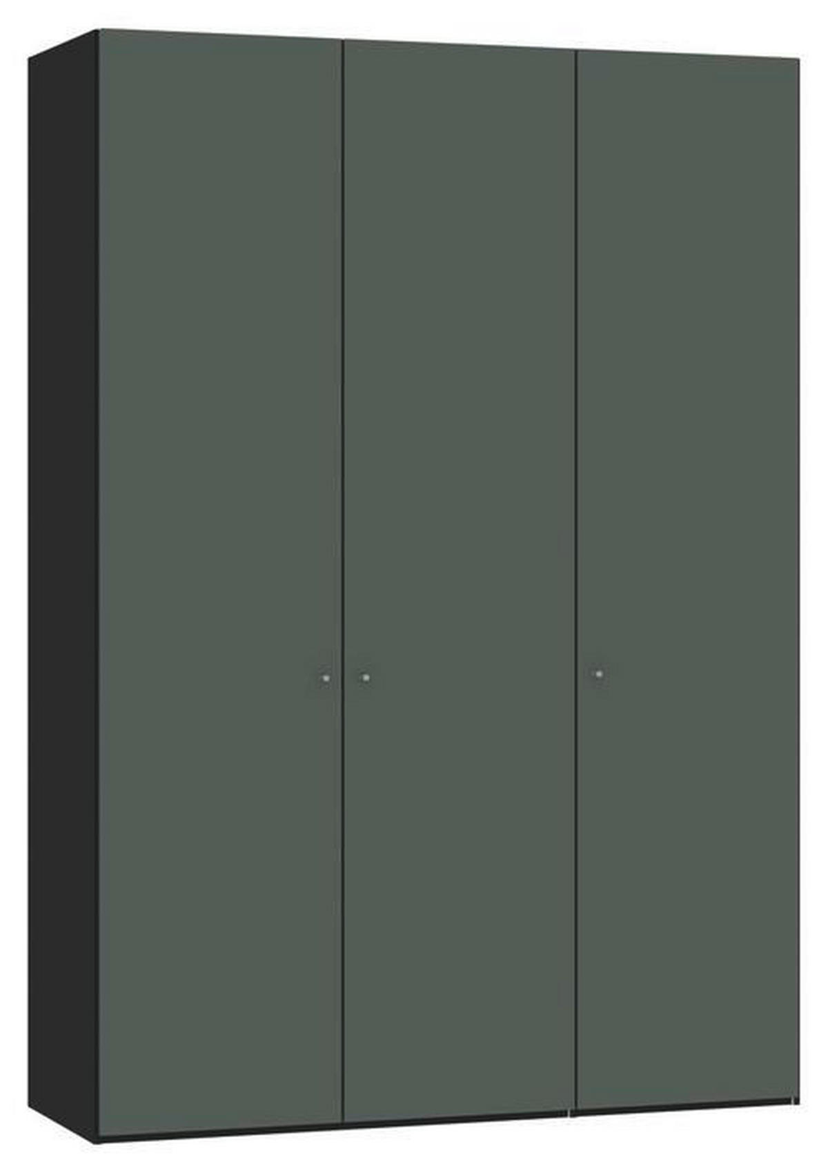 DREHTÜRENSCHRANK  in Grau, Grün, Schwarz  - Silberfarben/Schwarz, Design, Glas/Holzwerkstoff (152/220/59cm) - Jutzler