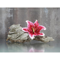 OBRAZ NA SKLE, zen, 30/40 cm  - vícebarevná, Basics, sklo (30/40cm) - Euroart