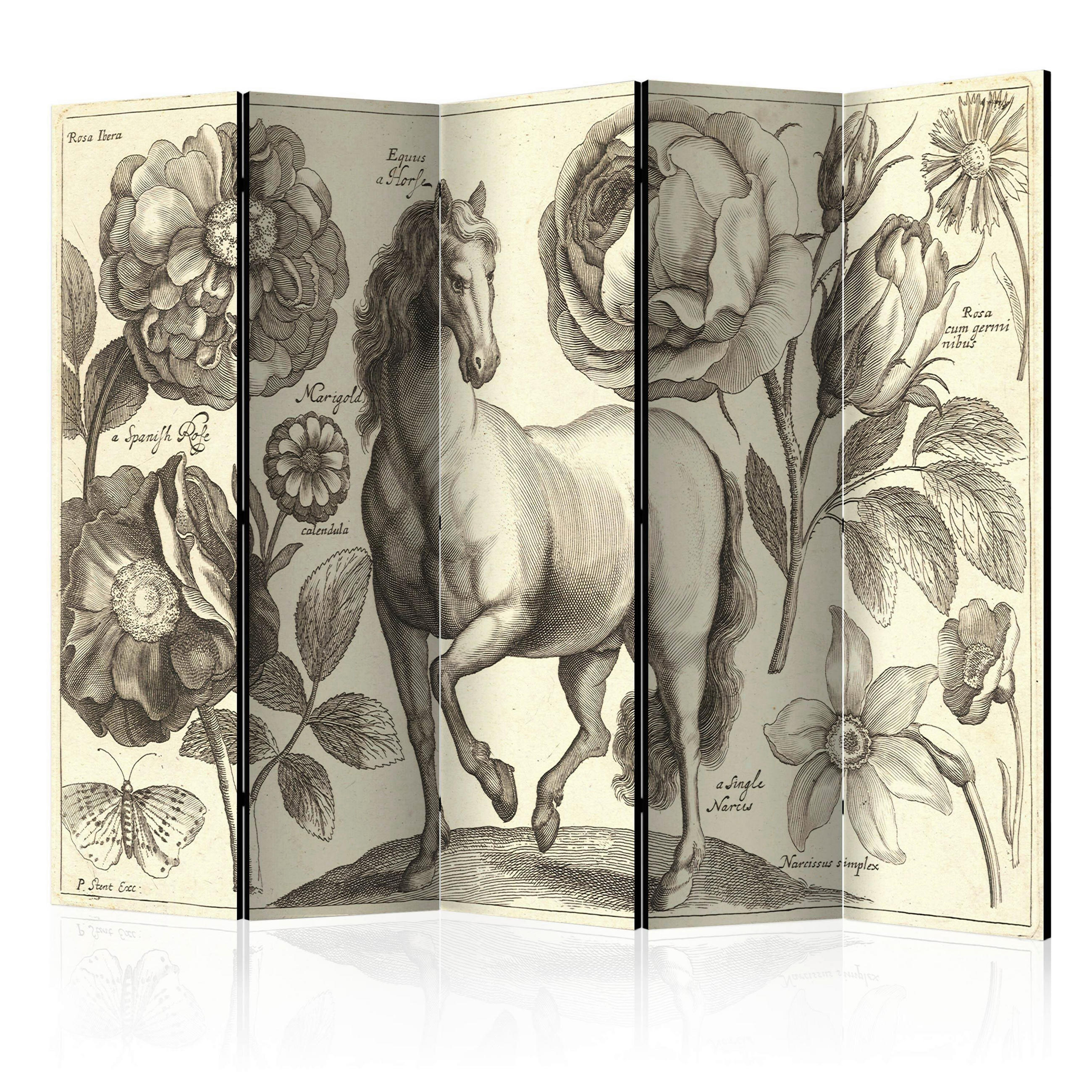 artgeist PARAVÁN, 225/172/3 cm