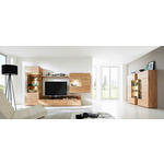 WOHNWAND Venturo  in Eichefarben  324,0/196/55 cm  - Edelstahlfarben/Eichefarben, KONVENTIONELL, Glas/Holz (324,0/196/55cm) - Valnatura