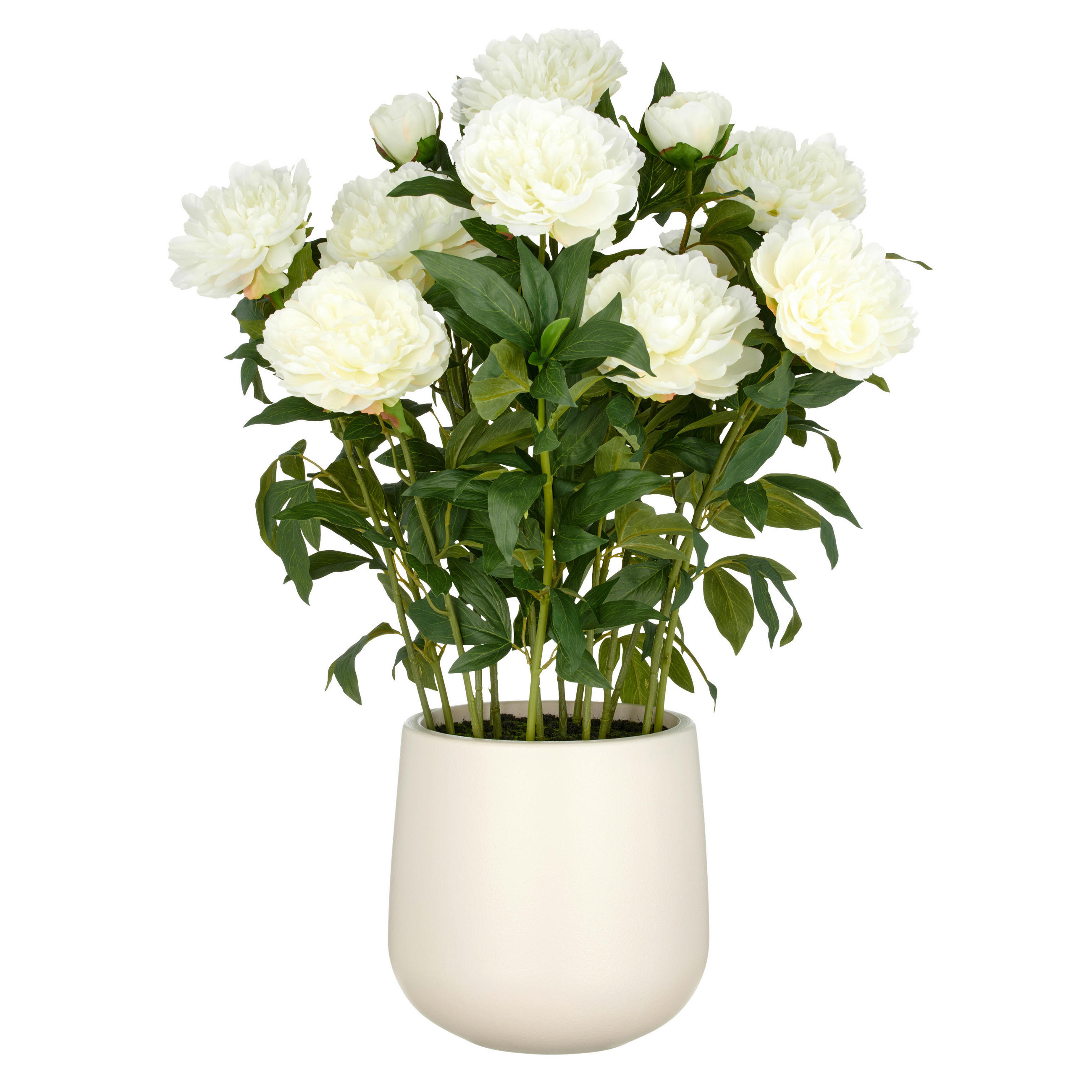 KUNSTPFLANZE  - Creme/Grün, Basics, Kunststoff (26/80/26cm)