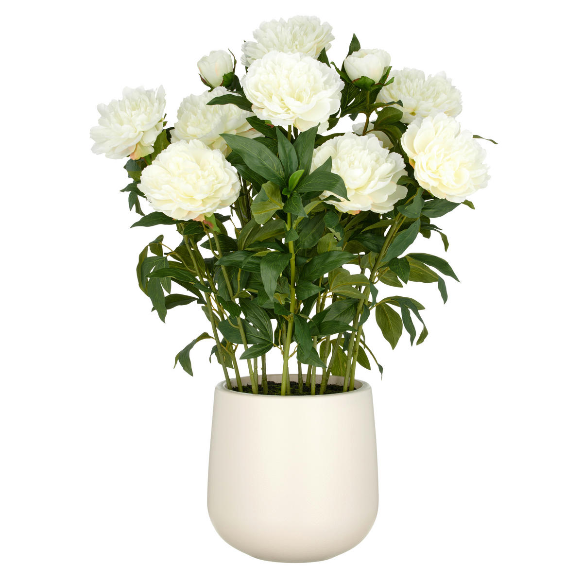 KUNSTPFLANZE  - Creme/Grün, Basics, Kunststoff (26/80/26cm)