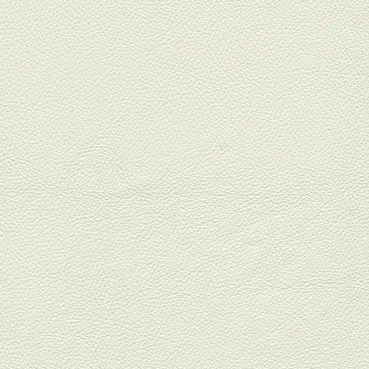 2,5-SITZER in Leder Creme  - Creme/Schwarz, Design, Leder/Metall (195/90/109cm)
