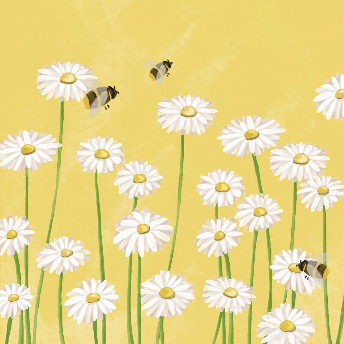 SERVIETTE  16,5/16,5 cm   - Multicolor, Basics, Papier (16,5/16,5cm) - PPD