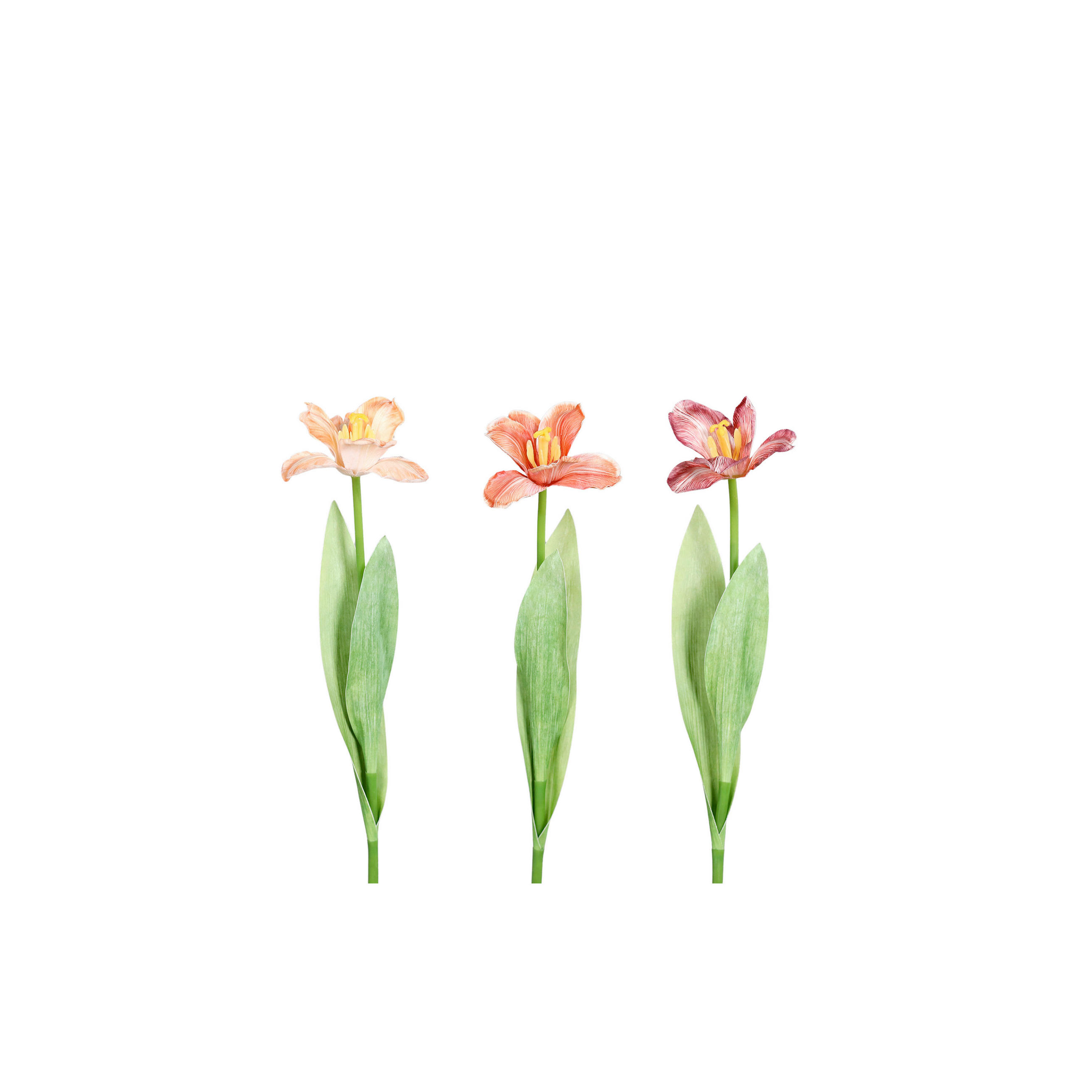 TULPE - Orange/Hellgrün, LIFESTYLE, Kunststoff/Textil (49cm)