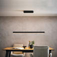 LED-HÄNGELEUCHTE 110/9/60-180 cm  - Anthrazit/Schwarz, Basics, Kunststoff/Metall (110/9/60-180cm) - Novel