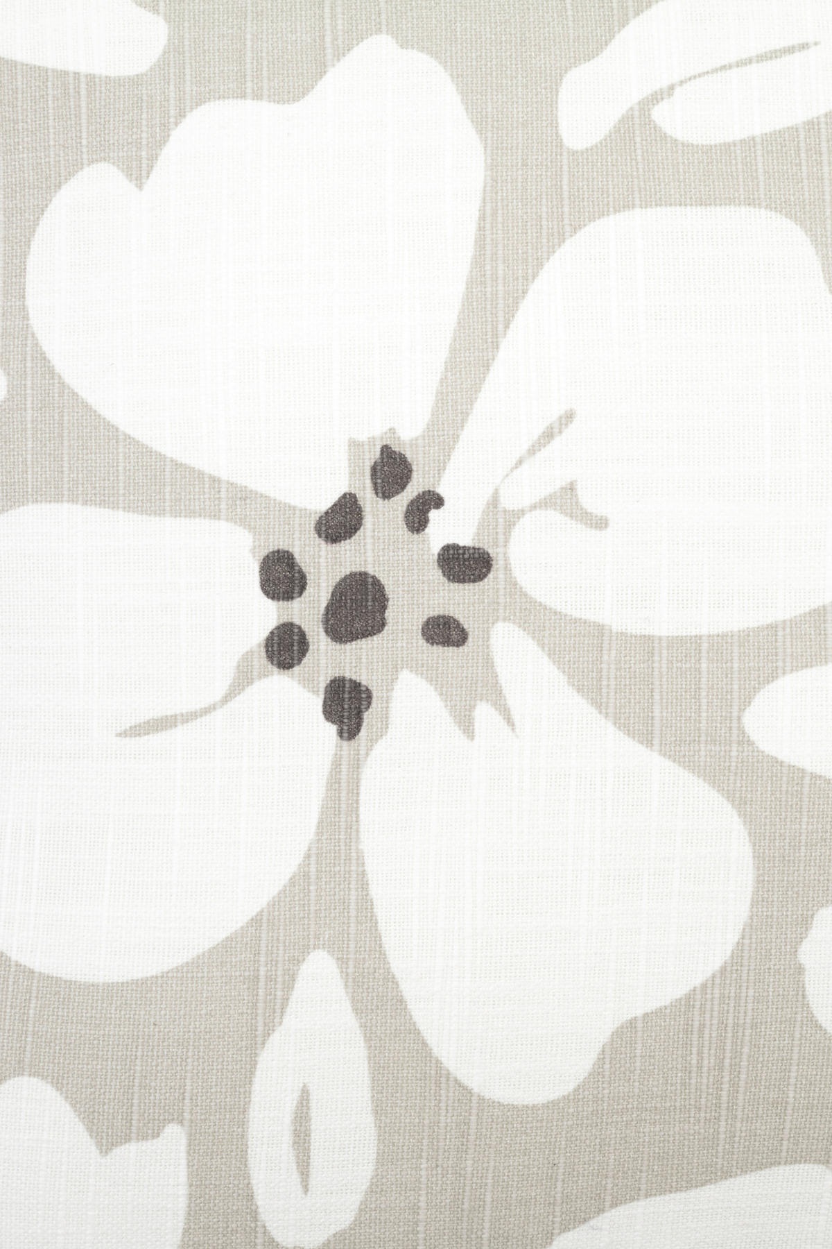 DEKORAČNÍ POLŠTÁŘ 45/45 cm - Design (45/45cm) - Esposa
