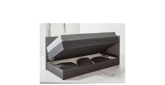 BOXSPRINGBETT 100/200 cm in Hellgrau, Dunkelgrau - Dunkelgrau/Hellgrau, KONVENTIONELL, Holz/Holzwerkstoff (100/200cm) - Xora