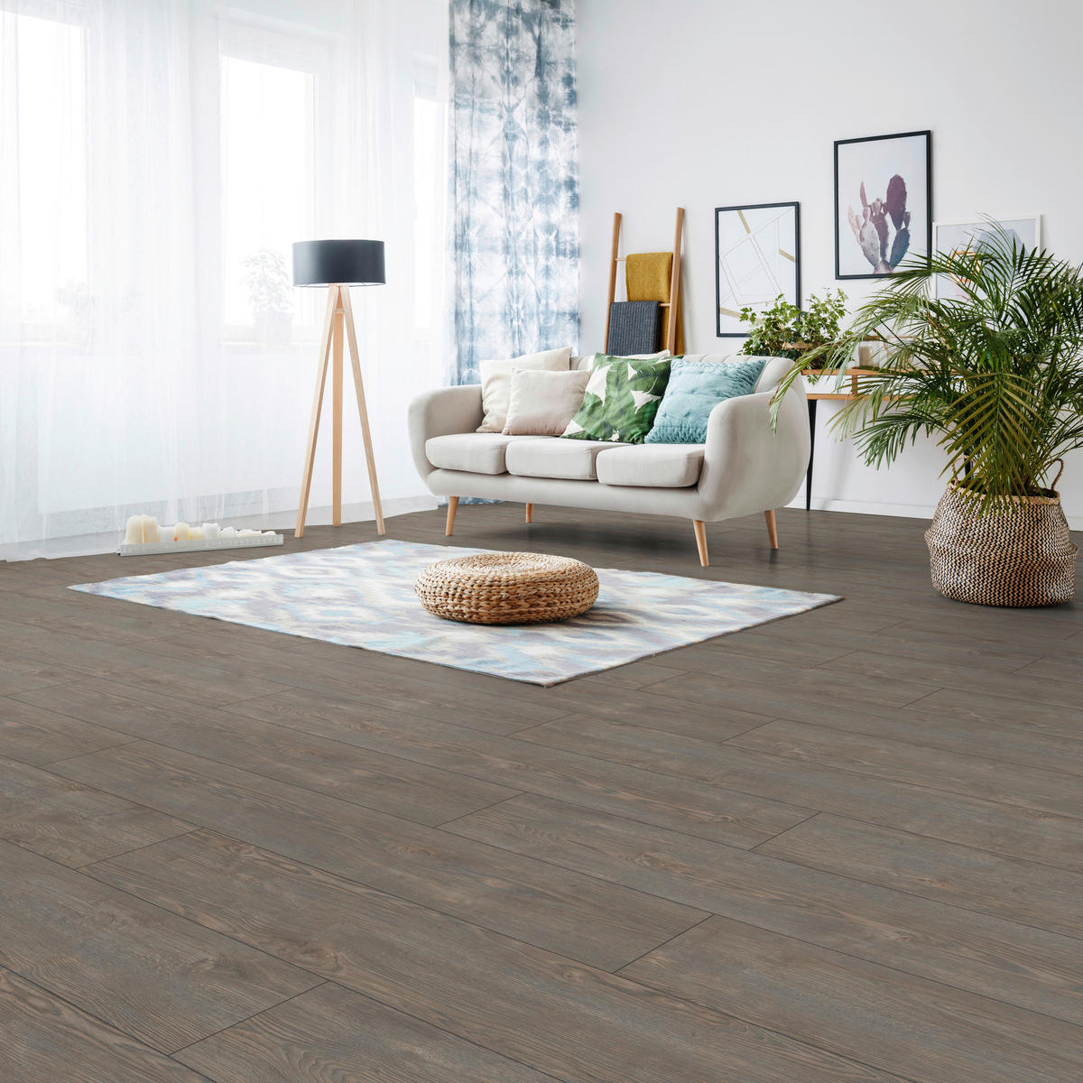 LAMINATBODEN Exquisit Plus  - Eiche grau, KONVENTIONELL, Holz (138.0/24.4/0.8cm)