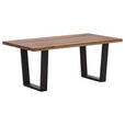 ESSTISCH Eiche rechteckig Anthrazit, Eichefarben  - Eichefarben/Anthrazit, Design, Holz/Metall (220/100/76cm) - Waldwelt