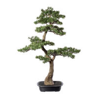 KUNSTPFLANZE Bonsai 100 cm  - Schwarz/Braun, Design, Kunststoff (100cm) - P & B