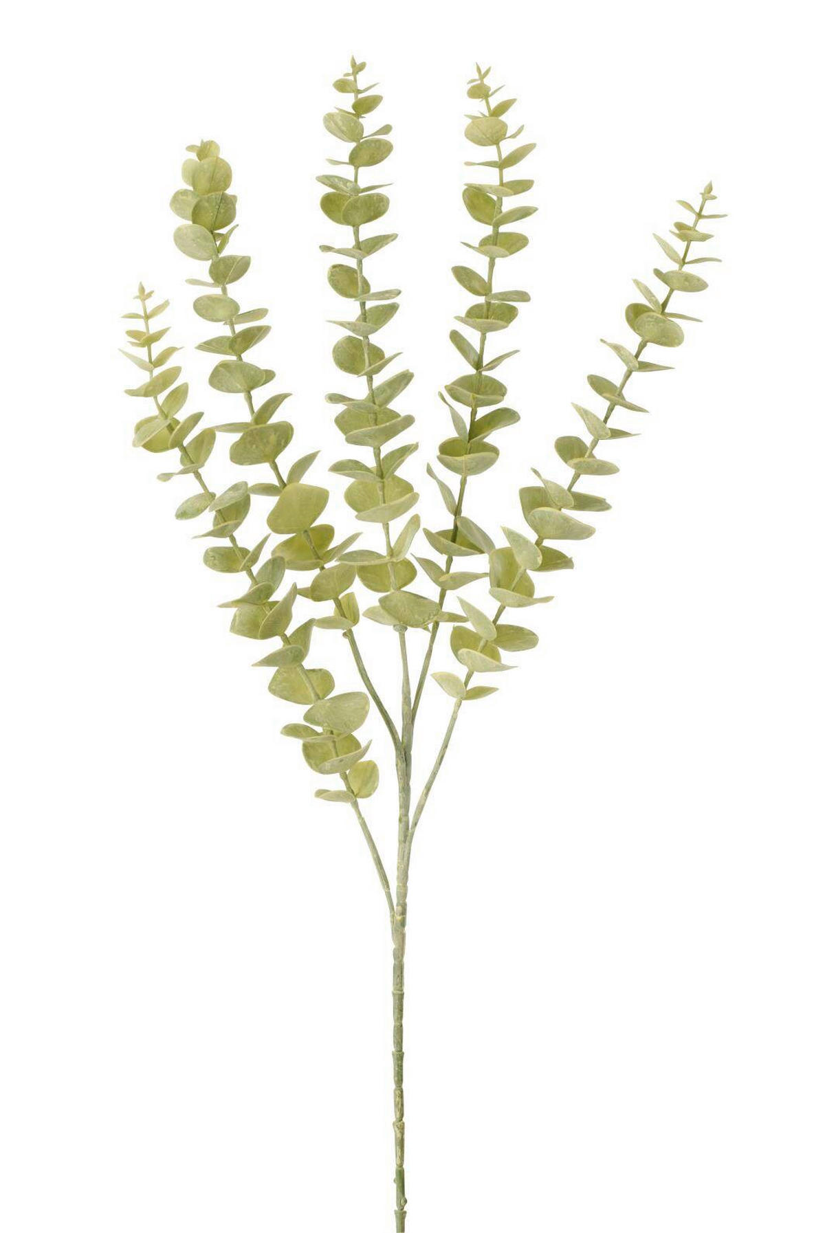 DEKOAST - Hellgrün, Basics, Kunststoff (83/8/8cm)