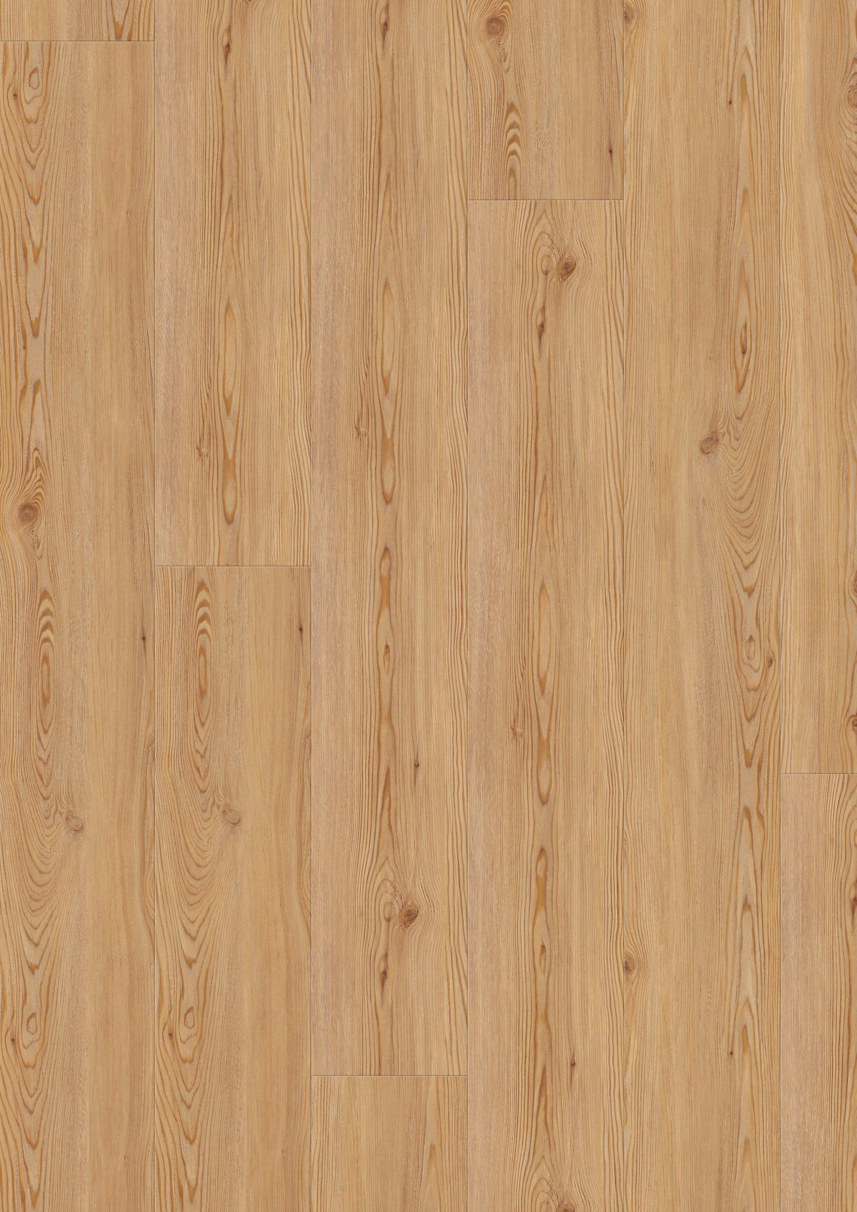 VINYLBODEN Grando Lärche Natur 100004001  per  m² - Design, Holz (220/21,6/1cm) - Tilo