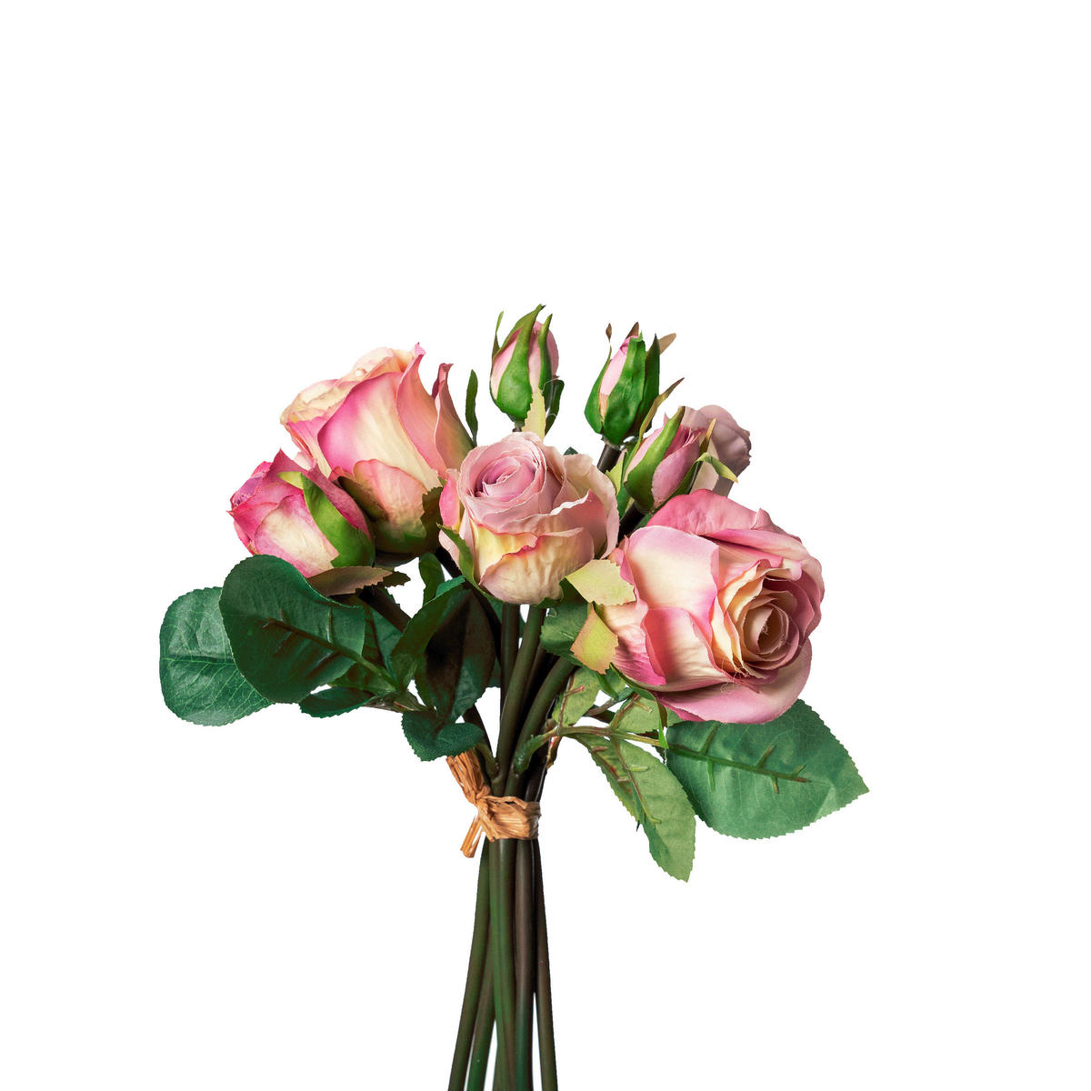 ROSENBUSCH - Hellrosa, Basics (28cm)