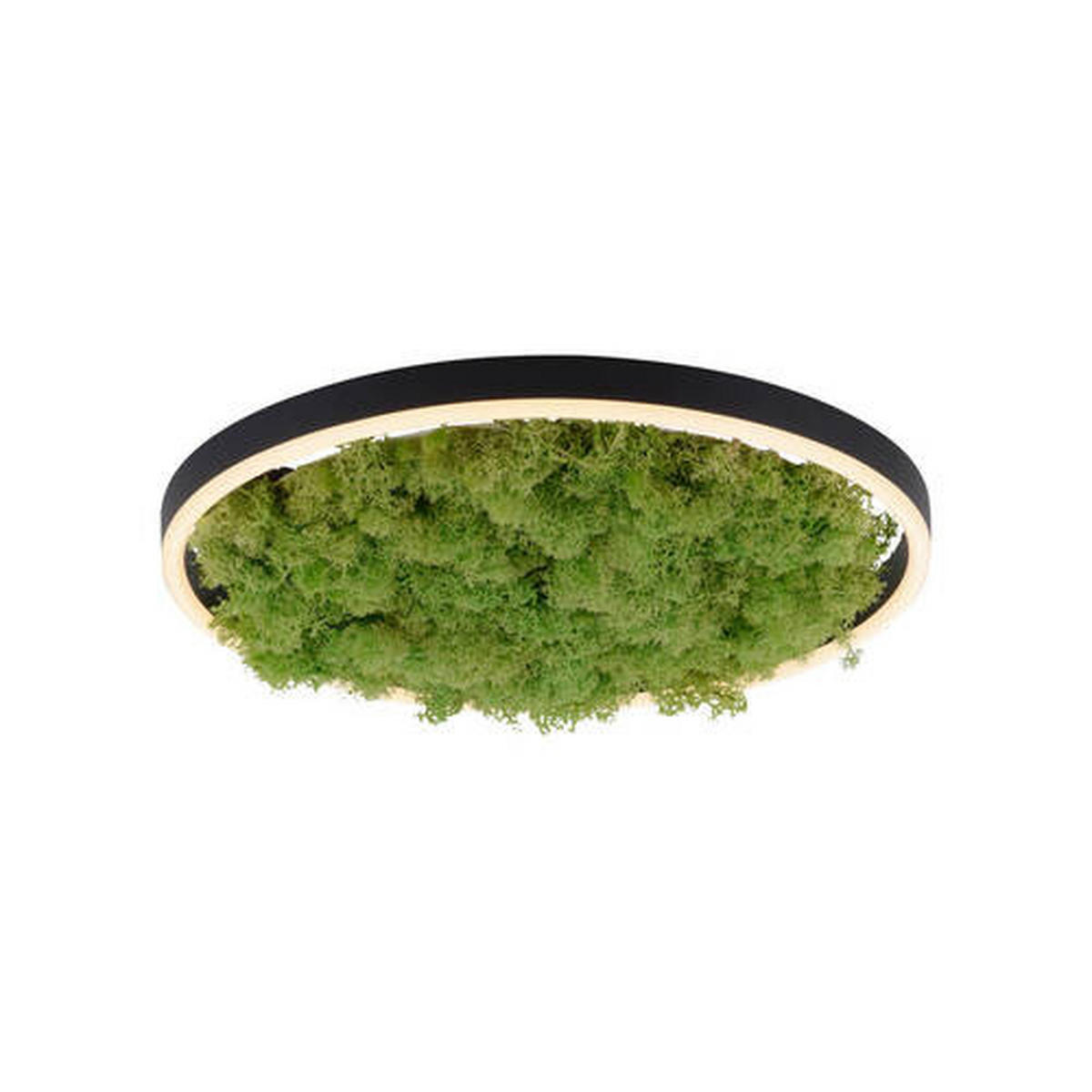 LED-DECKENLEUCHTE Ritus 39,3/39,3/5,3 cm   - Naturfarben, Natur, Naturmaterialien/Kunststoff (39,3/39,3/5,3cm)