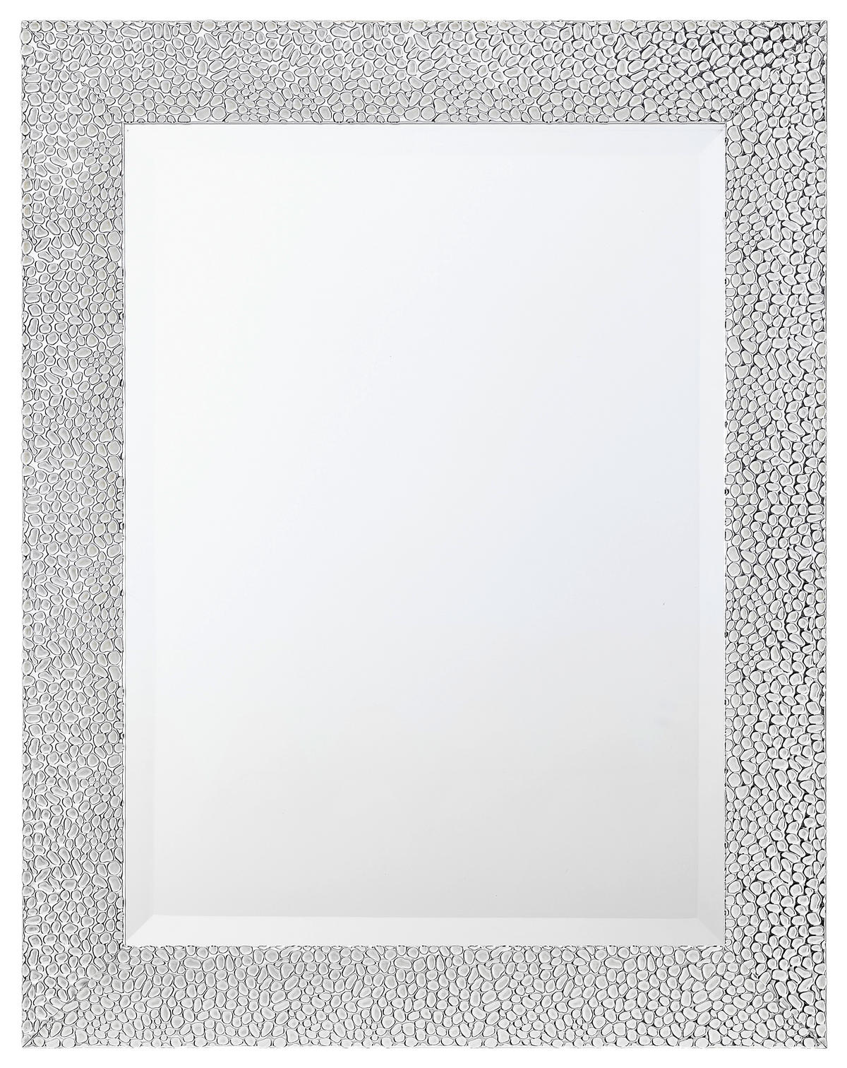 WANDSPIEGEL 55/70/2 cm    in rechteckig  - Silberfarben, LIFESTYLE, Glas/Kunststoff (55/70/2cm) - Carryhome