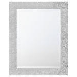 WANDSPIEGEL 55/70/2 cm    in rechteckig  - Silberfarben, LIFESTYLE, Glas/Kunststoff (55/70/2cm) - Carryhome