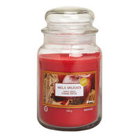 SVIJEĆA MIRISNA  crvena  - crvena, Basics, staklo/prirodni materijali (9/9/18cm)