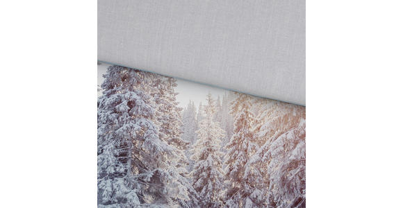 WENDEBETTWÄSCHE Flanell 140/200 cm - Multicolor, Trend, Textil (140/200cm) - Esposa