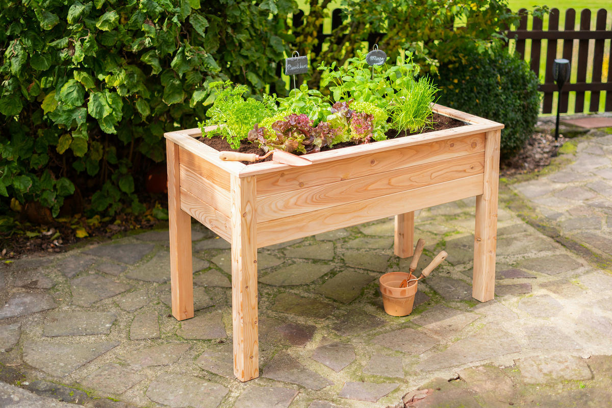 HOCHBEET  - Lärchefarben, Basics, Holz (120/75/65cm) - Ambia Garden