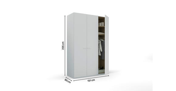 DREHTÜRENSCHRANK 151/235/60 cm 3-türig Hellgrau - Hellgrau, Trend, Glas/Holzwerkstoff (151/235/60cm) - Novel