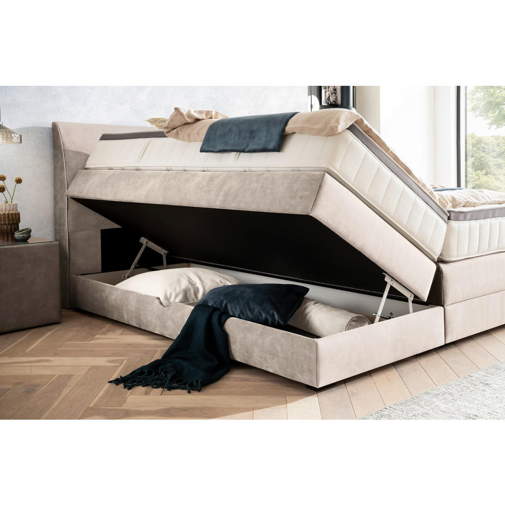 Thumbnail - Novel Boxspringbett, Greige, Textil, Wenge, H3, 7-Zonen, Höhe ca. 27 cm, 160x200 cm, Bettkasten, Federkernmatratze, Schl...