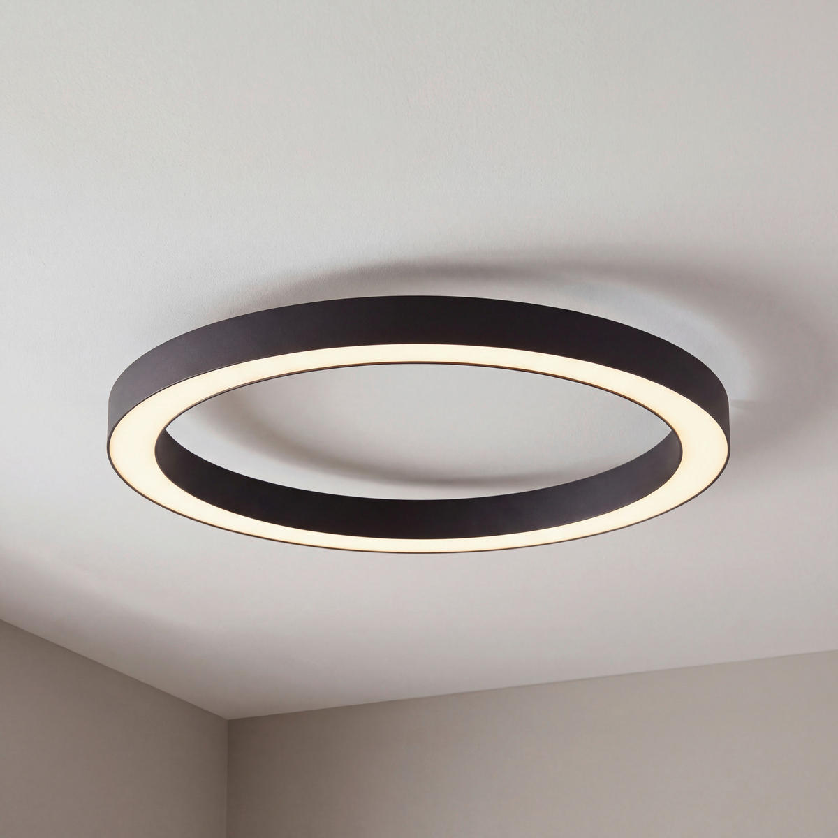 LED PLAFONJERA Pure Lines  - antracit, Dizajnerski, metal/plastika (50/3.9/4cm) - Neuhaus PURE