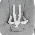 SCHAUKELWIPPE LUNCH Grau   - Grau, Basics, Kunststoff/Textil (66/45/48-58cm) - My Baby Lou