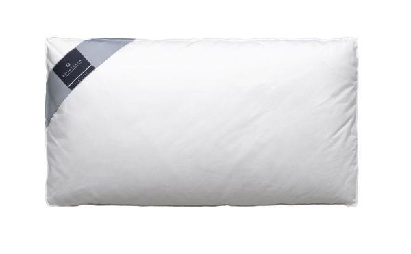 ANATOMSKI VZGLAVNIK DAUNALEX 40/80 cm - bela, Basics, tekstil (40/80cm) - Billerbeck