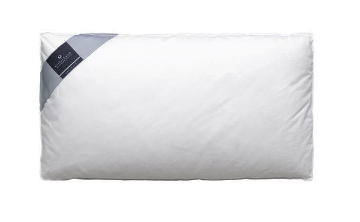 ANATOMSKI JASTUK 40/80 cm   DAUNALEX  - bijela, Basics, tekstil (40/80cm) - Billerbeck