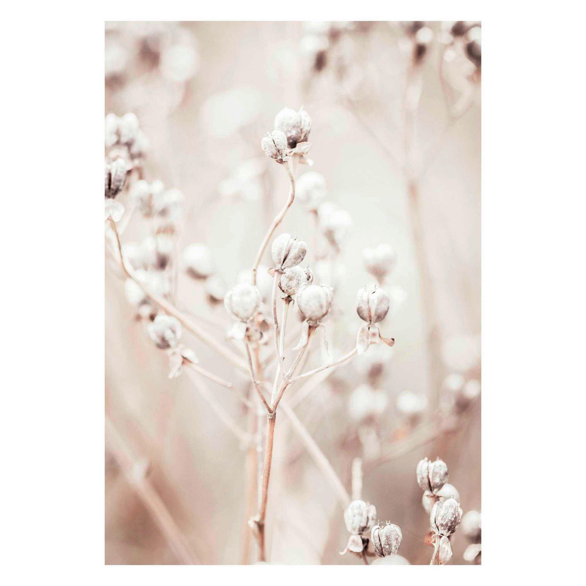 POSTER 50/70 cm  - Multicolor, Natur, Papier (50/70cm) - Reinders!