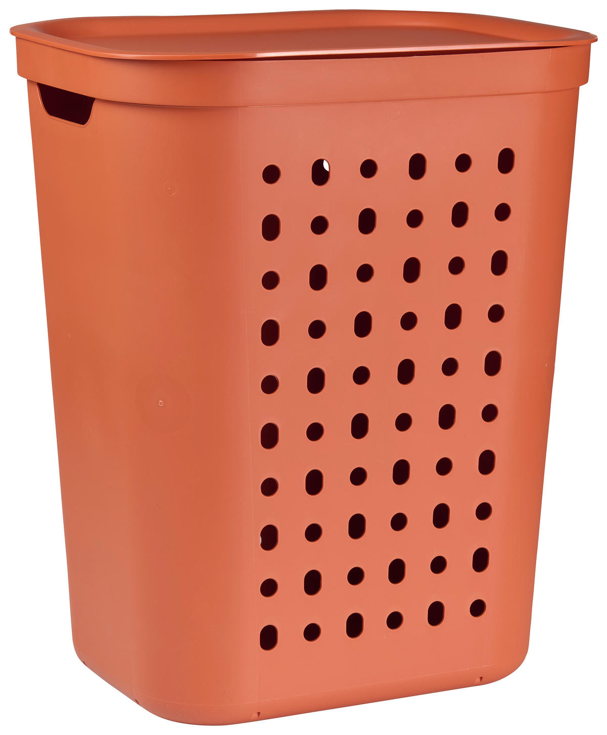 WÄSCHESAMMLER - Koralle, KONVENTIONELL, Kunststoff (35,5/53,3/43,2cm) - Rotho